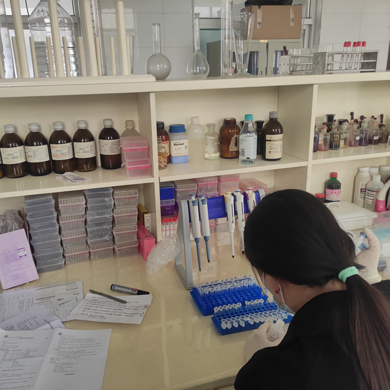 我公司非洲猪瘟检测仪在临汾市食品公司使用