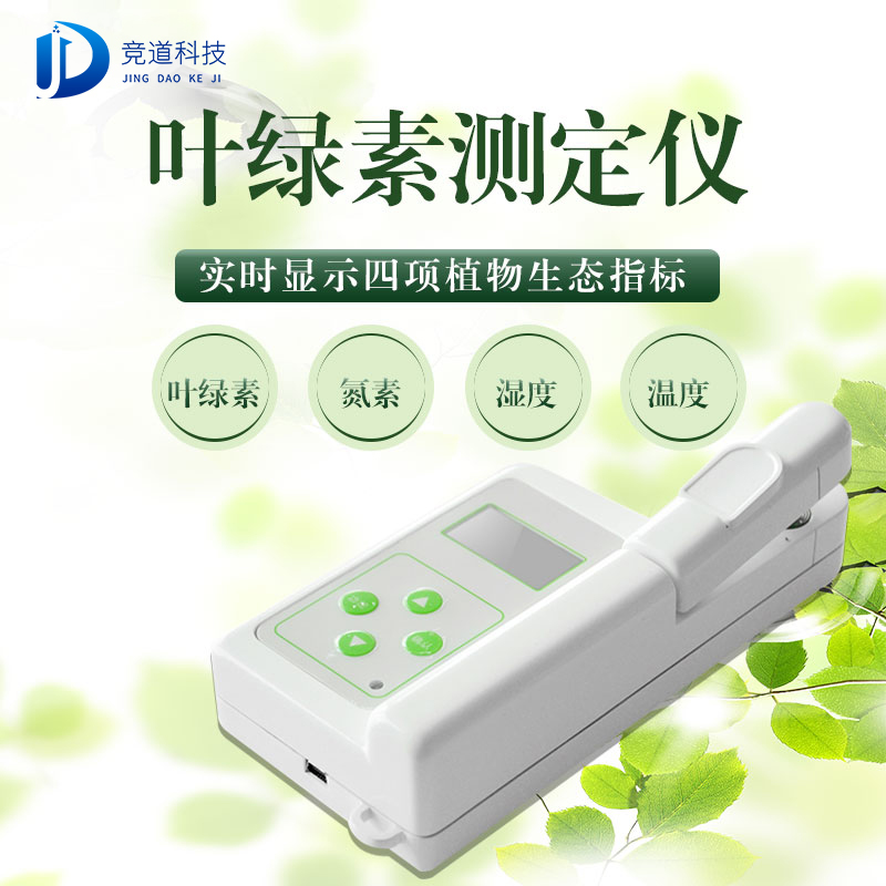  叶绿素:植物的厨师