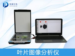 叶片图像是如何分析的？